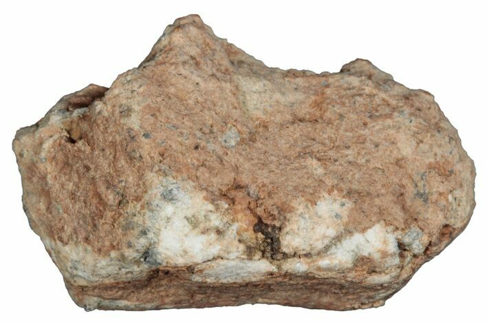 Lunar Meteorite ( g) - Bechar #288510